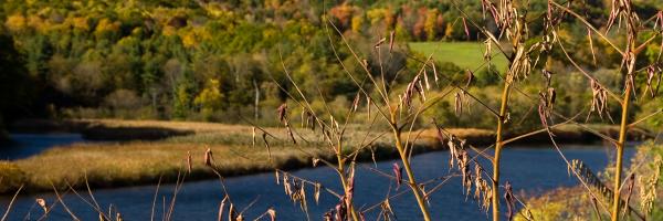River, forest, and field. Photo credit: Miro Vrlik River, forest, and field. Photo credit: Miro Vrlik